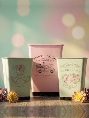 Çiçeva 3'lü Aeonium Dekoratif Saksı Seti – Pastel Tasarım, Şık ve Modern Ev Dekoru
