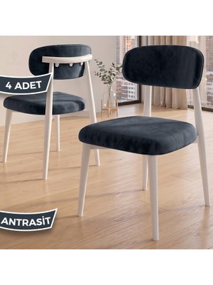 Canisa Nuvo Serisi 4 Adet Mutfak Sandalyesi Beyaz Metal Iskeletli 1. Sınıf Babyface Kumaş