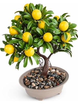 B&Nine Premium Gerçekçi Yapay Limon Bonsai Ağacı - 24 cm Dekoratif Saksılı Yapay Bitki