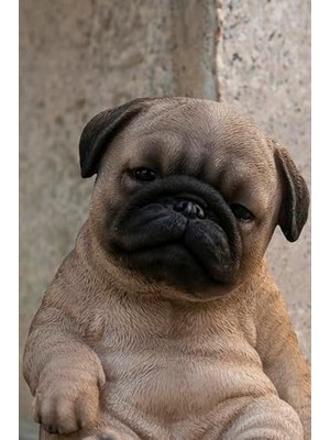 Hd Group Hi Ltd Oturan Uyuyan Pug Yavru Köpek Heykeli Heykelcik