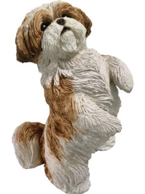 Hd Group Sandicast Orijinal Boyut Altın ve Beyaz Shih Tzu Heykeli, Güzel Oturan