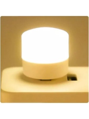 Die Grup 2 Adet 1W Mini Ampul, Taşınabilir USB LED Işık Seti, Günışığı Renk