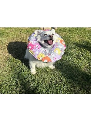 Die Grup Kedi ve Köpekler Için Yıkanabilir Elizabeth Boyunluk, Ayıcık Desenli