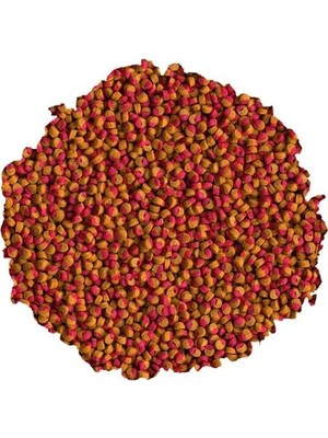 Die Grup Tetra Cichlid Colour Mini 100GR - Kovadan Bölme