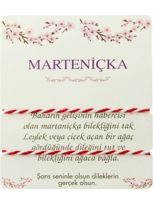 Hsc Bilişim 2 Adet Marteniçka Ip Bileklik ( Toptan Marteniçka Bileklik)