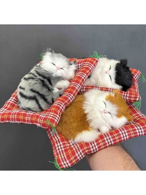 Wolawood Sesli Miyavlayan Uyuyan Peluş Kedi Ev, Oda, Oto & Araba Torpido Süsü Minderli Sevimli Yastıkta Uyuyan Kedi Sesli Yavru Kedi Figürü Dekoratif Aksesuar (1 Adet Rastgele Renk)