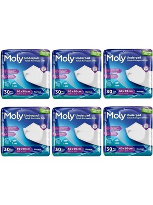 Yatak Koruyucu Örtü 60X90 Cm, 30'lu, Set Of 6, Normal Emicilik