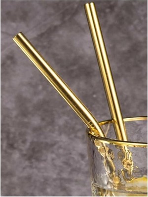 Home 2'li Gold Paslanmaz Çelik Pipet, Temizleme Fırçası, Metal Pipet