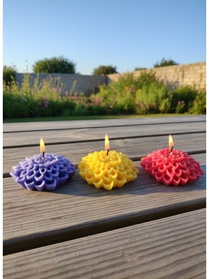 AY IŞIĞI MUMLARI Yıldız Çiçeği 3'lü Hediyelik Dekoratif Hoş Kokulu Soya Wax Mum (Kırmızı + Sarı + Mor Renkli)