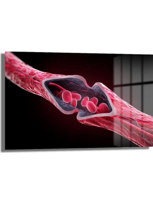 GLAZELLA Dinamik Damar Akışı Cam Tablo