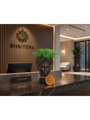 BitkiTÜRK Dekoratif Yüz Saksı Stabilize Moss Tasarımlı Modern Masaüstü Dekor Objesi