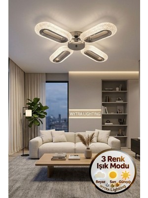 UltraMint Modern 4'lü Gümüş Elips Renkli LED Tavana Avizesi