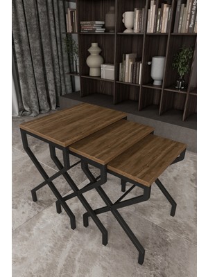 The Violett Lotus 3'lü Zigon Sehpa Orta Sehpa Dekoratif 3 Boy Ofis Sehpası Salon Sehpası Çok Fonksiyonlu
