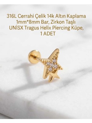Begonia Accessories 316L Cerrahi Çelik Altın Kaplama Kararmaz Alerji Yapmaz Zirkon Taş Figür Unisex Tragus Helix Küpe Piercing A429-54