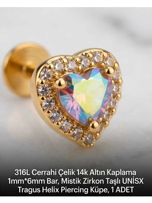 Begonia Accessories 316L Cerrahi Çelik Altın Kaplama Kararmaz Alerji Yapmaz Zirkon Taş Figür Unisex Tragus Helix Küpe Piercing A429-15