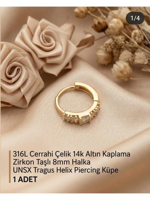 Begonia Accessories 316L Cerrahi Çelik Altın Kaplama Kararmaz Alerji Yapmaz Zirkon Taş Figür 1 Adet Unisex Minimal Halka Tragus Helix Küpe Piercing A503-18