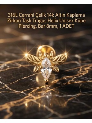 Begonia Accessories 316L Cerrahi Çelik Altın Kaplama Kararmaz Alerji Yapmaz Zirkon Taş Figür Unisex Tragus Helix Küpe Piercing A106-28