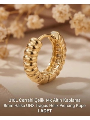 Begonia Accessories 316L Cerrahi Çelik Altın Kaplama Kararmaz Alerji Yapmaz Zirkon Taş Figür 1 Adet Unisex Minimal Halka Tragus Helix Küpe Piercing A503-7