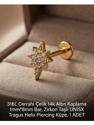 Begonia Accessories 316L Cerrahi Çelik Altın Kaplama Kararmaz Alerji Yapmaz Zirkon Taş Figür Unisex Tragus Helix Küpe Piercing A429-32