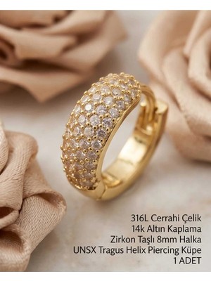 Begonia Accessories 316L Cerrahi Çelik Altın Kaplama Kararmaz Alerji Yapmaz Zirkon Taş Figür 1 Adet Unisex Minimal Halka Tragus Helix Küpe Piercing A503-35