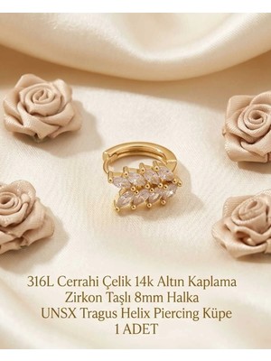 Begonia Accessories 316L Cerrahi Çelik Altın Kaplama Kararmaz Alerji Yapmaz Zirkon Taş Figür 1 Adet Unisex Minimal Halka Tragus Helix Küpe Piercing A503-5