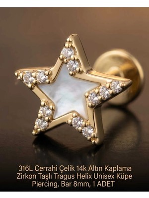 Begonia Accessories 316L Cerrahi Çelik Altın Kaplama Kararmaz Alerji Yapmaz Zirkon Taş Figür Unisex Tragus Helix Küpe Piercing A106-36