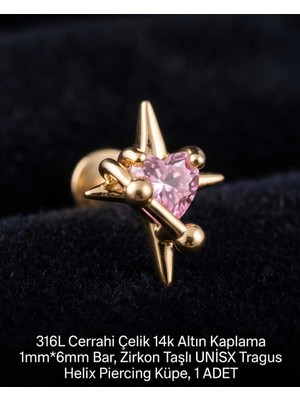 Begonia Accessories 316L Cerrahi Çelik Altın Kaplama Kararmaz Alerji Yapmaz Zirkon Taş Figür Unisex Tragus Helix Küpe Piercing A429-6