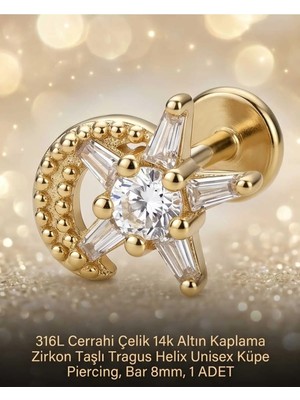 Begonia Accessories 316L Cerrahi Çelik Altın Kaplama Kararmaz Alerji Yapmaz Zirkon Taş Figür Unisex Tragus Helix Küpe Piercing A106-37