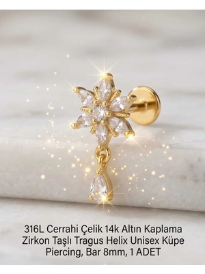Begonia Accessories 316L Cerrahi Çelik Altın Kaplama Kararmaz Alerji Yapmaz Zirkon Taş Figür Unisex Tragus Helix Küpe Piercing A106-23