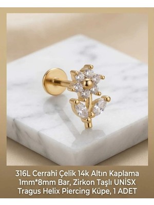 Begonia Accessories 316L Cerrahi Çelik Altın Kaplama Kararmaz Alerji Yapmaz Zirkon Taş Figür Unisex Tragus Helix Küpe Piercing A429-26
