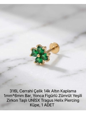 Begonia Accessories 316L Cerrahi Çelik Altın Kaplama Kararmaz Alerji Yapmaz Zirkon Taş Figür Unisex Tragus Helix Küpe Piercing A429-7
