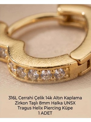 Begonia Accessories 316L Cerrahi Çelik Altın Kaplama Kararmaz Alerji Yapmaz Zirkon Taş Figür 1 Adet Unisex Minimal Halka Tragus Helix Küpe Piercing A503-32