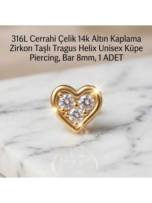 Begonia Accessories 316L Cerrahi Çelik Altın Kaplama Kararmaz Alerji Yapmaz Zirkon Taş Figür Unisex Tragus Helix Küpe Piercing A106-3