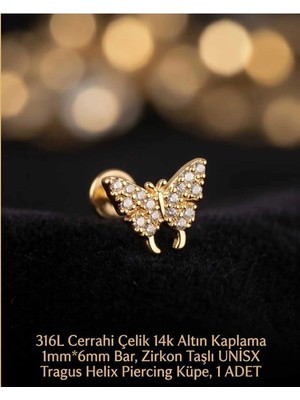 Begonia Accessories 316L Cerrahi Çelik Altın Kaplama Kararmaz Alerji Yapmaz Zirkon Taş Figür Unisex Tragus Helix Küpe Piercing A429-13