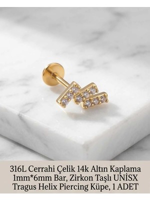 Begonia Accessories 316L Cerrahi Çelik Altın Kaplama Kararmaz Alerji Yapmaz Zirkon Taş Figür Unisex Tragus Helix Küpe Piercing A429-12
