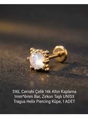 Begonia Accessories 316L Cerrahi Çelik Altın Kaplama Kararmaz Alerji Yapmaz Zirkon Taş Figür Unisex Tragus Helix Küpe Piercing A429-23
