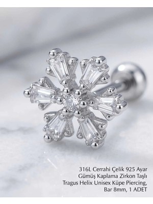 Begonia Accessories 316L Cerrahi Çelik Paslanmaz Kararmaz Alerji Yapmaz Zirkon Taşlı Figürlü Unisex Tragus Helix Küpe Piercing G106-30