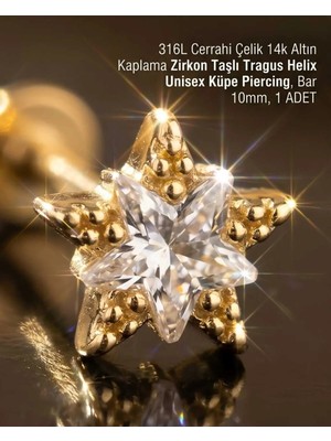 Begonia Accessories 316L Cerrahi Çelik Altın Kaplama Kararmaz Alerji Yapmaz Zirkon Taş Figür Unisex Tragus Helix Küpe Piercing A106-35