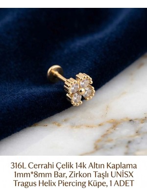 Begonia Accessories 316L Cerrahi Çelik Altın Kaplama Kararmaz Alerji Yapmaz Zirkon Taş Figür Unisex Tragus Helix Küpe Piercing A429-42