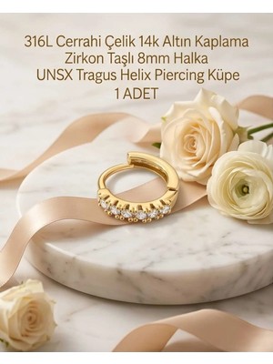 Begonia Accessories 316L Cerrahi Çelik Altın Kaplama Kararmaz Alerji Yapmaz Zirkon Taş Figür 1 Adet Unisex Minimal Halka Tragus Helix Küpe Piercing A503-13