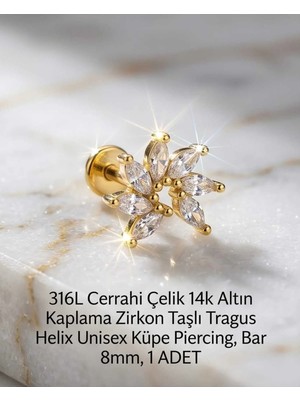 Begonia Accessories 316L Cerrahi Çelik Altın Kaplama Kararmaz Alerji Yapmaz Zirkon Taş Figür Unisex Tragus Helix Küpe Piercing A106-30