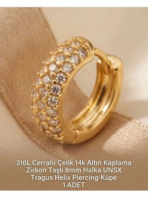 Begonia Accessories 316L Cerrahi Çelik Altın Kaplama Kararmaz Alerji Yapmaz Zirkon Taş Figür 1 Adet Unisex Minimal Halka Tragus Helix Küpe Piercing A503-34