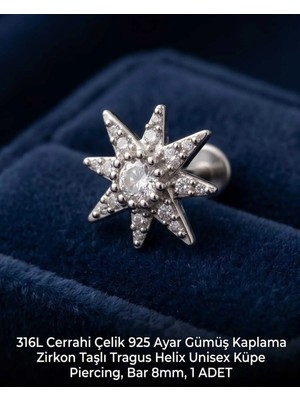 Begonia Accessories 316L Cerrahi Çelik Paslanmaz Kararmaz Alerji Yapmaz Zirkon Taşlı Figürlü Unisex Tragus Helix Küpe Piercing G106-32