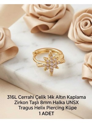 Begonia Accessories 316L Cerrahi Çelik Altın Kaplama Kararmaz Alerji Yapmaz Zirkon Taş Figür 1 Adet Unisex Minimal Halka Tragus Helix Küpe Piercing A503-12