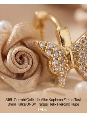 Begonia Accessories 316L Cerrahi Çelik Altın Kaplama Kararmaz Alerji Yapmaz Zirkon Taş Figür 1 Adet Unisex Minimal Halka Tragus Helix Küpe Piercing A503-31