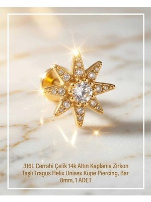 Begonia Accessories 316L Cerrahi Çelik Altın Kaplama Kararmaz Alerji Yapmaz Zirkon Taş Figür Unisex Tragus Helix Küpe Piercing A106-48
