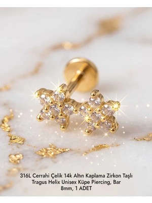 Begonia Accessories 316L Cerrahi Çelik Altın Kaplama Kararmaz Alerji Yapmaz Zirkon Taş Figür Unisex Tragus Helix Küpe Piercing A106-29
