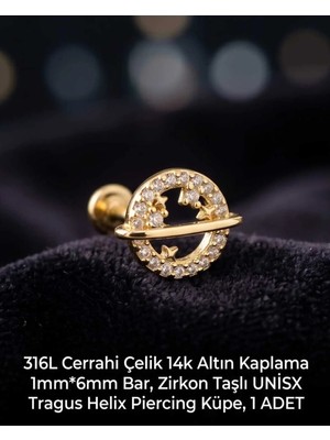 Begonia Accessories 316L Cerrahi Çelik Altın Kaplama Kararmaz Alerji Yapmaz Zirkon Taş Figür Unisex Tragus Helix Küpe Piercing A429-10