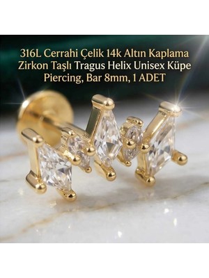 Begonia Accessories 316L Cerrahi Çelik Altın Kaplama Kararmaz Alerji Yapmaz Zirkon Taş Figür Unisex Tragus Helix Küpe Piercing A106-1