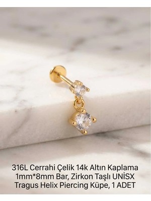 Begonia Accessories 316L Cerrahi Çelik Altın Kaplama Kararmaz Alerji Yapmaz Zirkon Taş Figür Unisex Tragus Helix Küpe Piercing A429-28